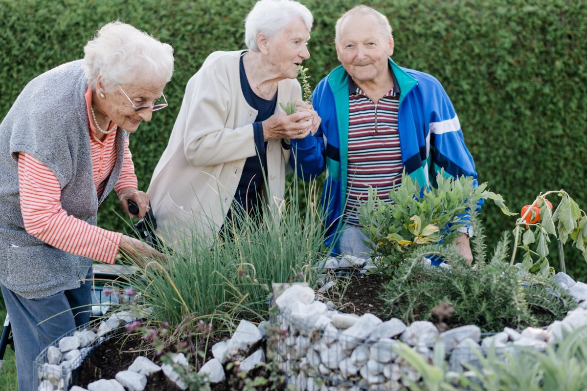 Villach Pflegezentrum_2017_08_009